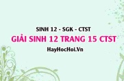 Giải Sinh 12 trang 16 Chân trời sáng tạo SGK